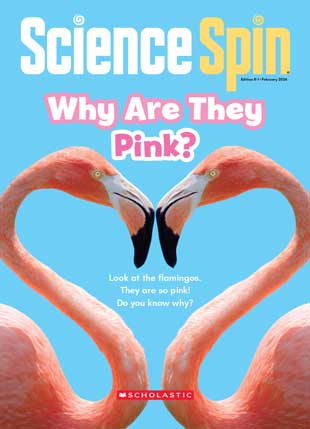 Why Are They Pink?