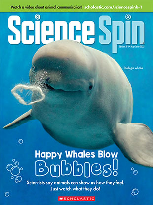Baleine à bulles, MOBY BUBBLE®