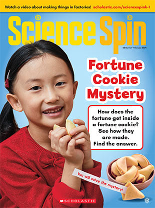 Fortune Cookie Mystery February 2024   SS1 020124 CVR 